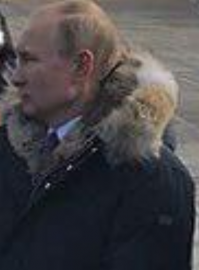 Путин любит рыжих котов