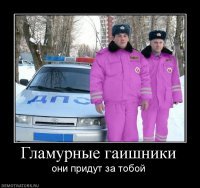 Необычная погоня: гаишник догоняет трактор в его прицепе