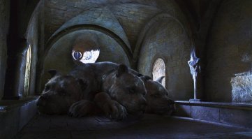 Если по головам считать - будет 600.