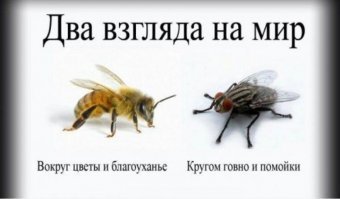 Отметил, какую бы новость хорошую не написали про Россию, тут же толпа русскоязычных (даже не знаю как назвать, обс*ральщиков? Нытиков? Узкоспециализированных мизантропов?) начинают ныть одну и ту же тему-  
"лучше бы построили детсадыыыы..."
 Вот вам детсады! 
"Лучше бы построили заводыыы..."
Вот вам заводы!!
"Дорогиии, дорогиии нннадаа..."
Вот вам дороги!!!?
"Все на строительстве пилят, откатыыыы"
Вот коррупционеров сажают, вот министров сажают!!!!11!!!
"Не поделился видатттть..."

P.S. Это просто такие моральные уроды, которым голландский общественный туалет слаще и лучше, чем АЭС,завод, новый корабль или самолет в России!