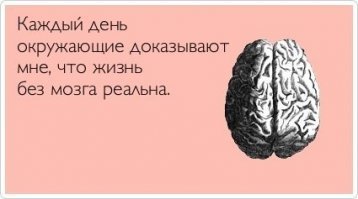 Смешные картинки с надписями