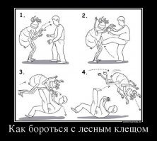 Способы изгнания клещей из своего окружения