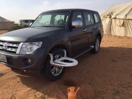 15 настолько ужасных туалетов, что лучше перетерпеть