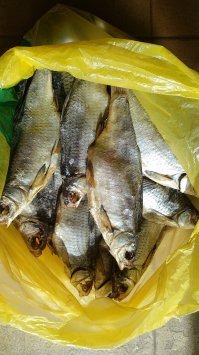 У меня же пакет настоящей астраханской воблы лежит! А я и забыл. Вперед, за пивком...:)