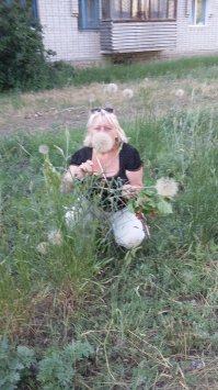 дуванчики бывают и побольше.