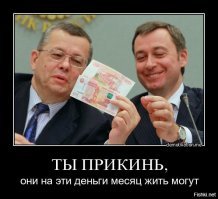 Законопроект о снижении депутатской зарплаты до средней по стране внесен в Госдуму