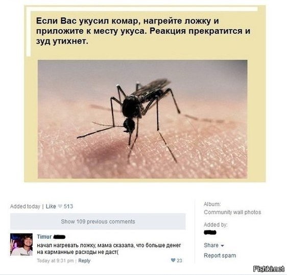 В Воронежской области огромное количество комаров атакуют животных и людей