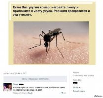 В Воронежской области огромное количество комаров атакуют животных и людей