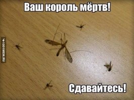 Надо грохнуть Босса)Остальные капитулируют.