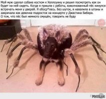 Самые странные животные нашей планеты