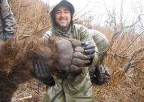 О медвежьих лапах