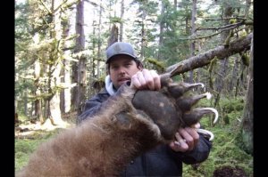 О медвежьих лапах