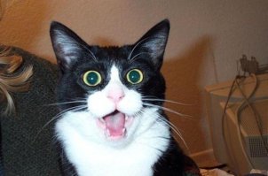 Ну как так-то? А?