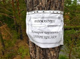 В Воронежской области огромное количество комаров атакуют животных и людей