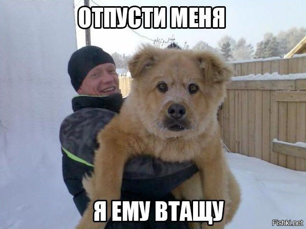 Жириновский пообещал исключить из ЛДПР всех собаковладельцев