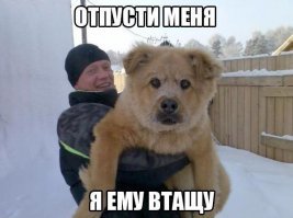 Жириновский пообещал исключить из ЛДПР всех собаковладельцев