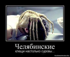 Способы изгнания клещей из своего окружения