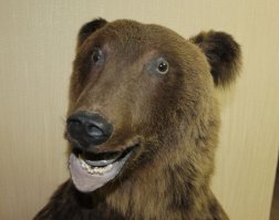 Это можно дома держать?