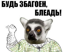 Знакомьтесь, Юми и Фанни – новые обитатели Фишек