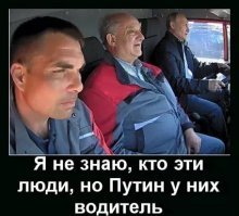 Вперед за валежником: неожиданная реакция соцсетей на открытие Крымского моста 