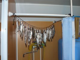 20 уличных сцен, над которыми невозможно не рассмеяться