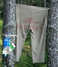 20 уличных сцен, над которыми невозможно не рассмеяться