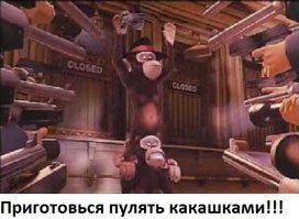 Посетительница кафе выразила свое возмущение самым мерзким образом