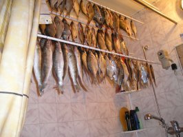 20 уличных сцен, над которыми невозможно не рассмеяться