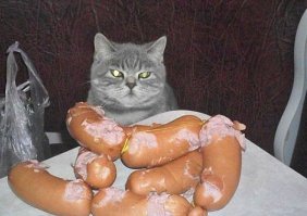 Всё не сожру, но понадкусываю)))