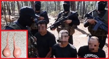 Не сработает против организованной преступности. В Бразилии например картель всю семью стукача вырежет, а если надо то и соседей. Поэтому там даже за награду большую никто не рискует сообщать властям. А В России так вообще - тебя самого менты примут и в кармане спайсуху "найдут" а потом забьют в палками до смерти в отделении, если начнёшь активно писать доносы на определённых людей, которые делятся с силовиками. С ОПГ вообще сложно бороться - сначала надо рубить голову змеи, а потом уже разбираться с шестёрками. Иначе эффекта мало.