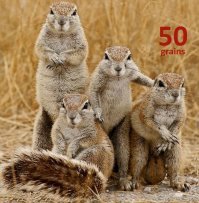 Думаю группу они назовут так!