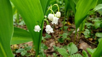 Не прохожу мимо, когда такая красота