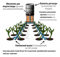 Дык-с а в чём проблема то???