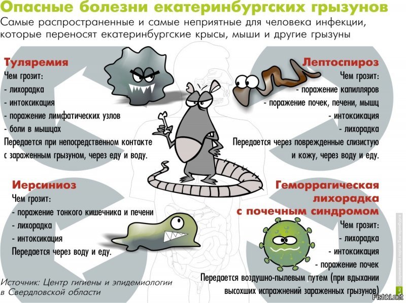 Солили, вялили, делали колбасу и т.д. суть не в этом , а в том что кошки оказались очень полезными сторожами Человеческих запасов еды, которую мыши не то что сожрать могли, а скорее заразить разными болезнями.

Способы передачи инфекции

- употребляя воду или еду, которые могут быть загрязнены фекалиями больной мыши;
- вдыхание пыли вместе с шерстью или мышиным пометом;
- контакт с трупом грызуна;
- при укусе человека мышью;
- через паразитов, которые живут в шерсти мышей;
- инфицирование через дыхательные пути при нахождении в помещении, где есть 
  скопление грызунов.