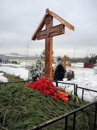 Видимо это самое удачное вложение инвесторов МММ