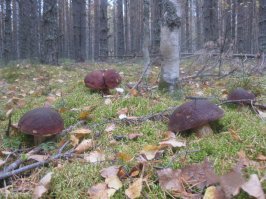 Перечислены самые доступные курорты для летнего отдыха-2018