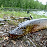 Перечислены самые доступные курорты для летнего отдыха-2018