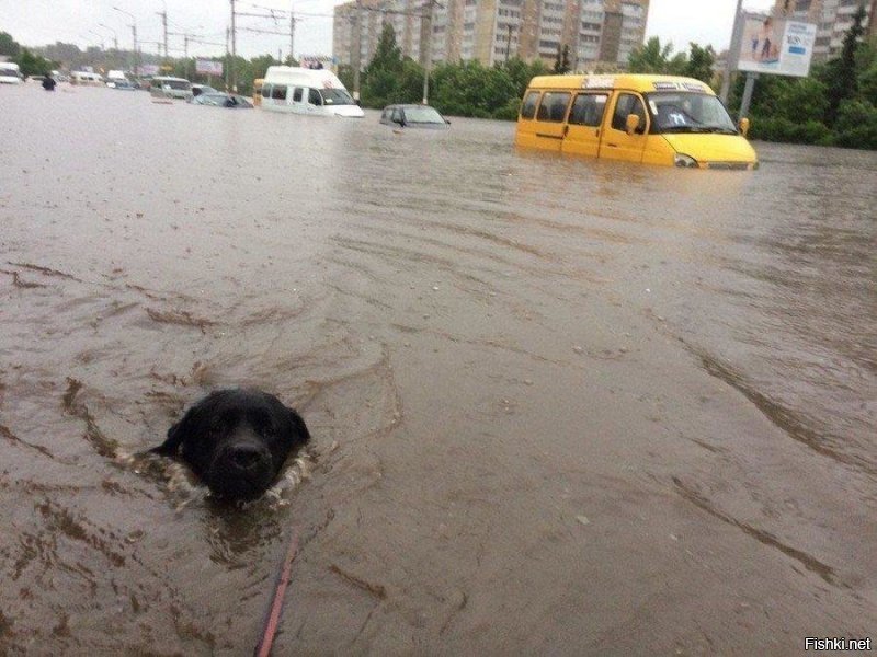 Пойдём, говорит, погуляем!
Я же не водолаз!!!