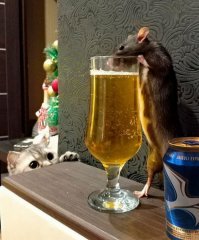 А здесь что происходит ?