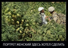 Около гомельской больницы парень выложил портрет девушки из шишек