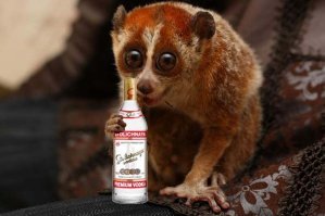 Вот лОри с водкой