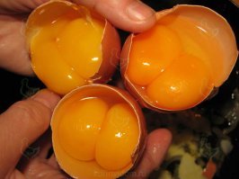 Картинки с надписями для настроения