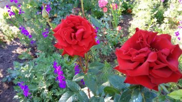 Фотал на телефон