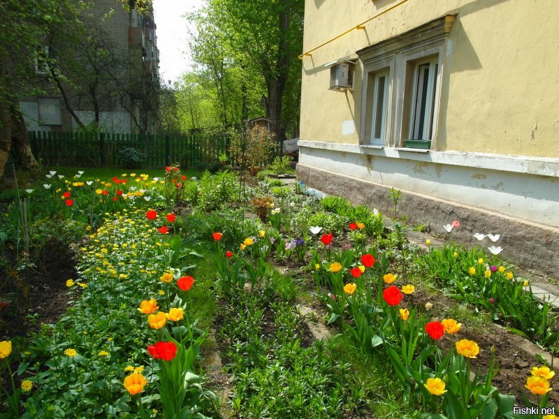 Москва, Курьяново. Недавно был пост про этот район, после чего я съездила туда посмотреть и пофотографировать. И вот, что получилось.