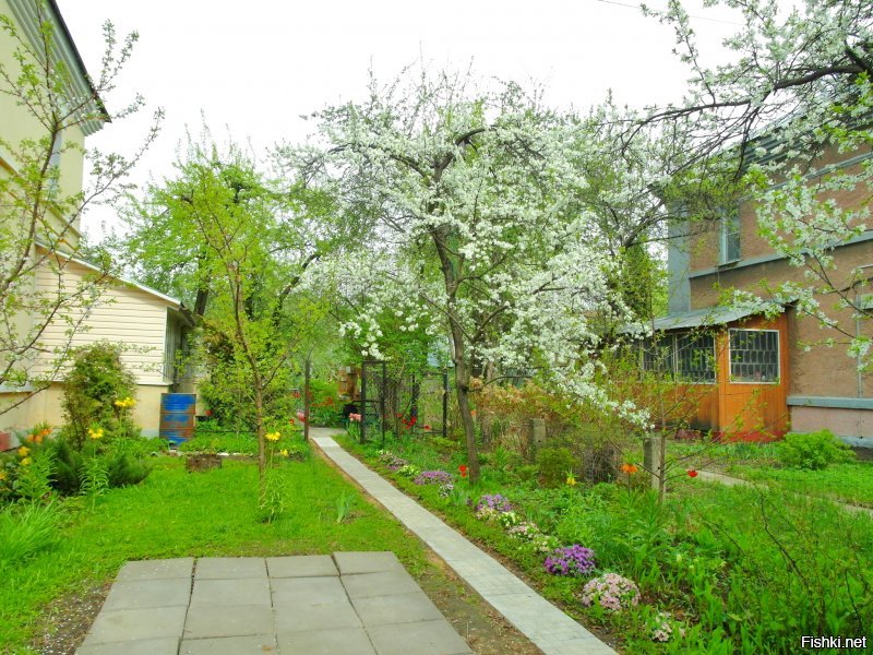 Москва, Курьяново. Недавно был пост про этот район, после чего я съездила туда посмотреть и пофотографировать. И вот, что получилось.