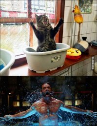 Фото, глядя на которые возникают различные ассоциации