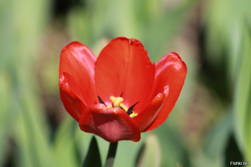 Добавлю свои.