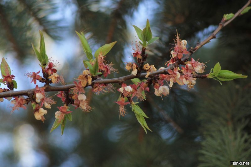Завершающая