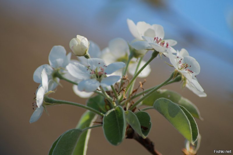 Добавлю свои.