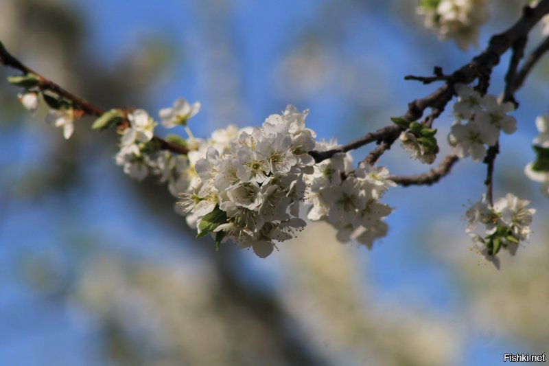 Еще немного.